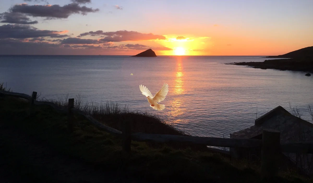 Wembury screen for laptop.webp
